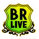Brasil live 360 logotipo