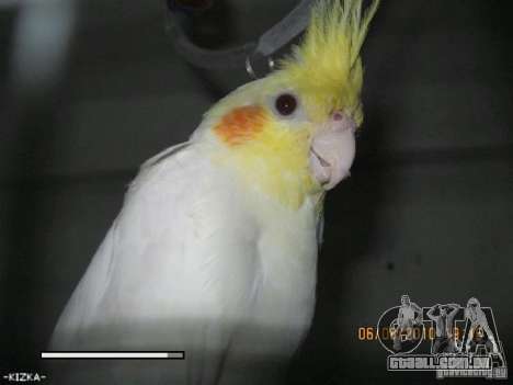 Beta de papagaios papagaio de tela de inicializa para GTA San Andreas