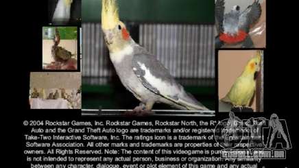 Beta de papagaios papagaio de tela de inicialização para GTA San Andreas