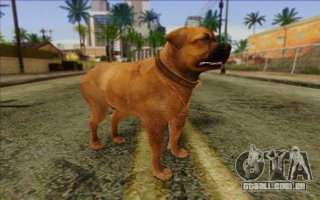 Rottweiler from GTA 5 Skin 2 para GTA San Andreas
