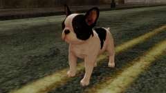 French Bulldog para GTA San Andreas