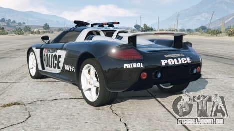Porsche Carrera GT (980) Police
