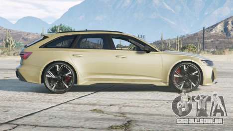 Audi RS 6 Avant (C8) 201〡9